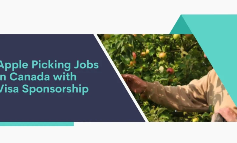 Apple Picking Jobs in Canada