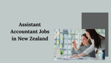 Assistant Accountant Jobs in New Zealand