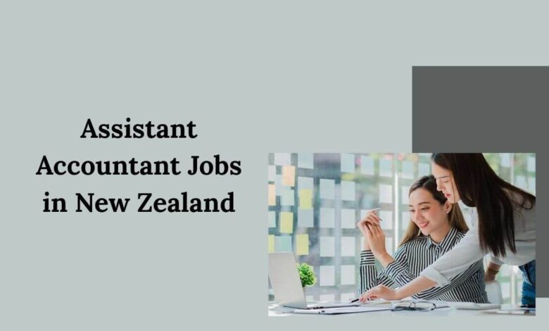 Assistant Accountant Jobs in New Zealand