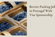 Berries Packing Jobs in Portugal