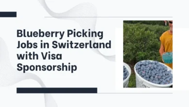 Blueberry Picking Jobs in Switzerland