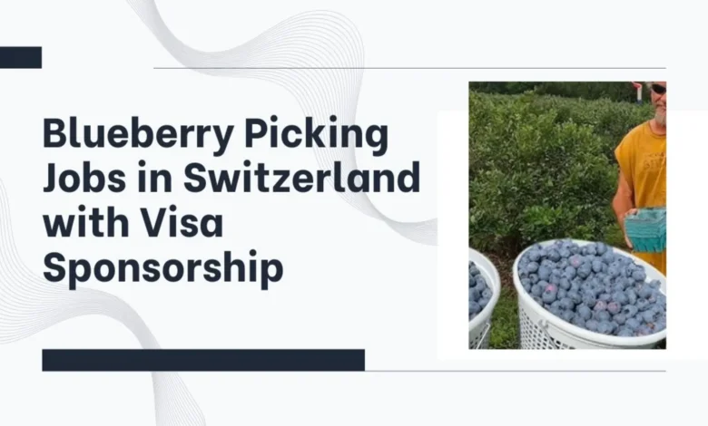Blueberry Picking Jobs in Switzerland