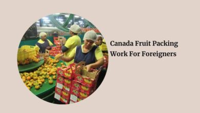 Canada Fruit Packing Work For Foreigners