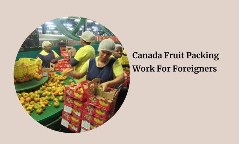 Canada Fruit Packing Work For Foreigners