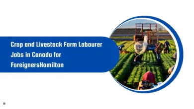 Crop and Livestock Farm Labourer Jobs in Canada for Foreigners