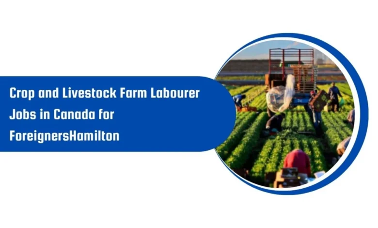 Crop and Livestock Farm Labourer Jobs in Canada for Foreigners