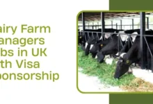 Dairy Farm Managers Jobs in UK
