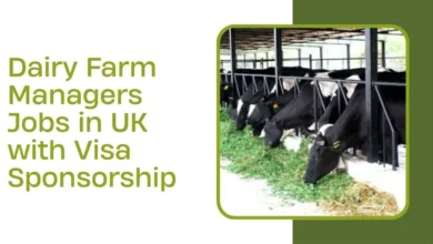 Dairy Farm Managers Jobs in UK