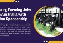 Dairy Farming Jobs in Australia