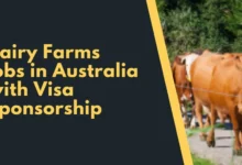 Dairy Farms jobs in Australia