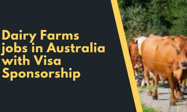 Dairy Farms jobs in Australia