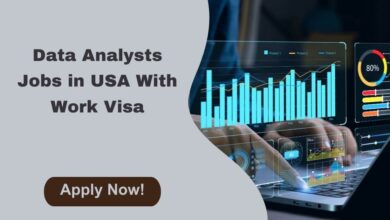 Data Analysts Jobs in USA With Work Visa