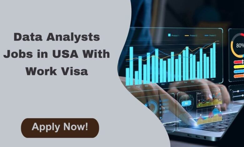 Data Analysts Jobs in USA With Work Visa