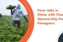 Farm Jobs in China