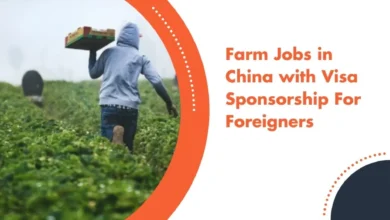 Farm Jobs in China