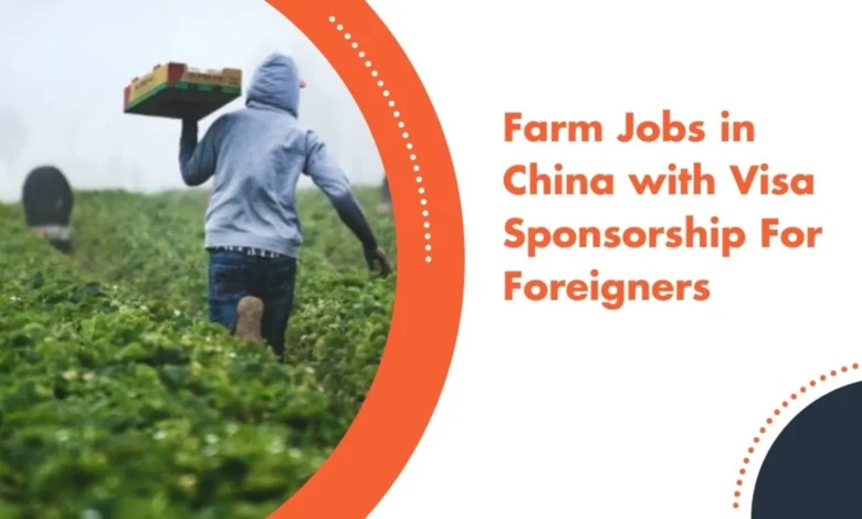 Farm Jobs in China