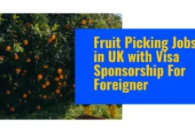 Fruit Picking Jobs in UK
