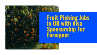 Fruit Picking Jobs in UK