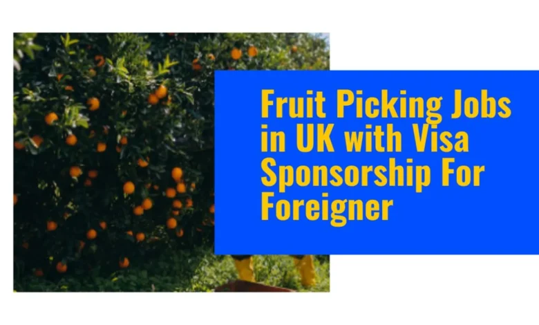 Fruit Picking Jobs in UK