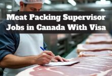 Meat Packing Supervisor Jobs in Canada With Visa