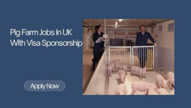 Pig Farm Jobs In UK With Visa Sponsorship