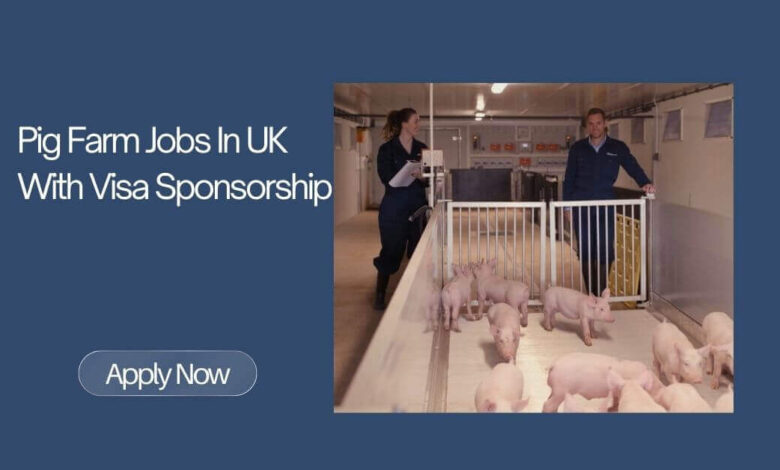 Pig Farm Jobs In UK With Visa Sponsorship