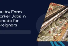 Poultry Farm Worker Jobs in Canada