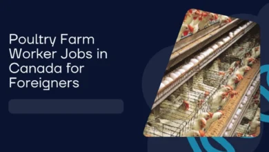 Poultry Farm Worker Jobs in Canada