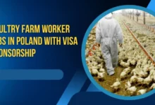 Poultry Farm Worker Jobs in Poland
