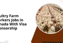 Poultry Farm Workers Jobs in Canada