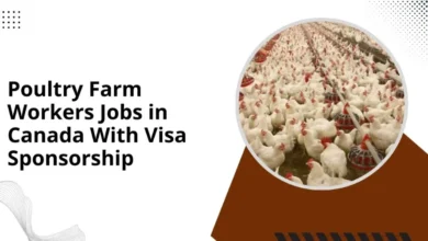 Poultry Farm Workers Jobs in Canada