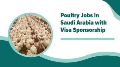 Poultry Jobs in Saudi Arabia