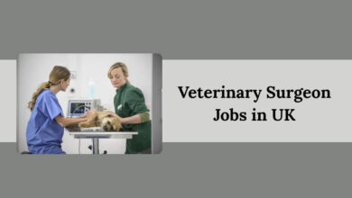 Veterinary Surgeon Jobs in UK