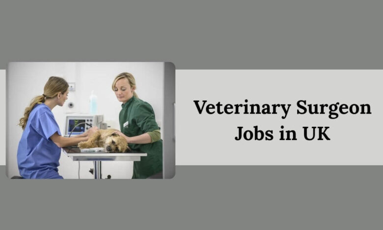 Veterinary Surgeon Jobs in UK
