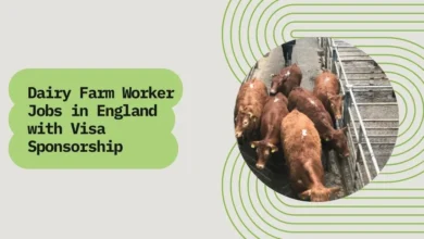 Dairy Farm Worker Jobs in England