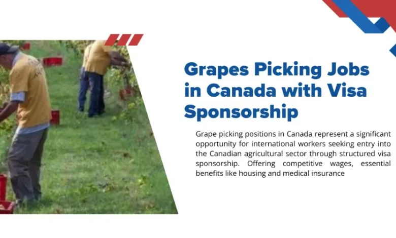 Grapes Picking Jobs in Canada