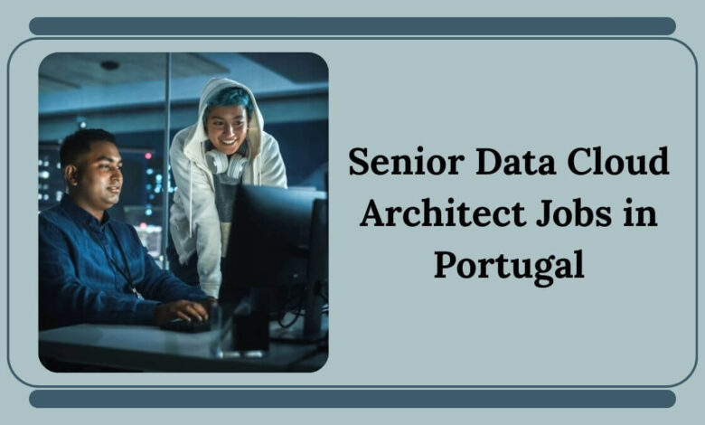 Senior Data Cloud Architect Jobs in Portugal