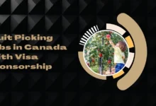 Fruit Picking Jobs in Canada