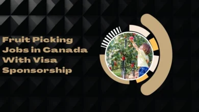 Fruit Picking Jobs in Canada
