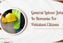 General Labour Jobs In Romania