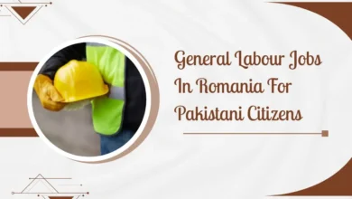 General Labour Jobs In Romania