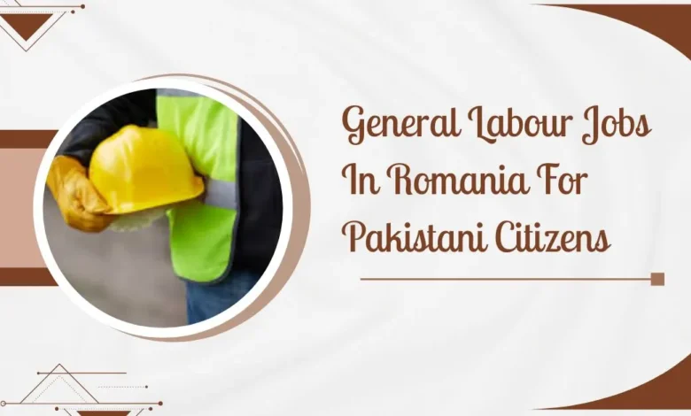 General Labour Jobs In Romania