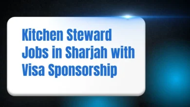 Kitchen Steward Jobs in Sharjah