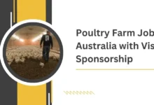 Poultry Farm Jobs in Australia