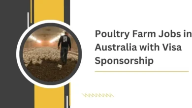 Poultry Farm Jobs in Australia