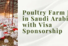 Poultry Farm Jobs in Saudi Arabia