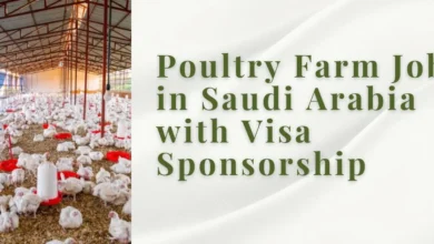 Poultry Farm Jobs in Saudi Arabia