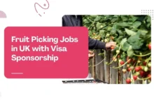 Fruit Picking Jobs in UK